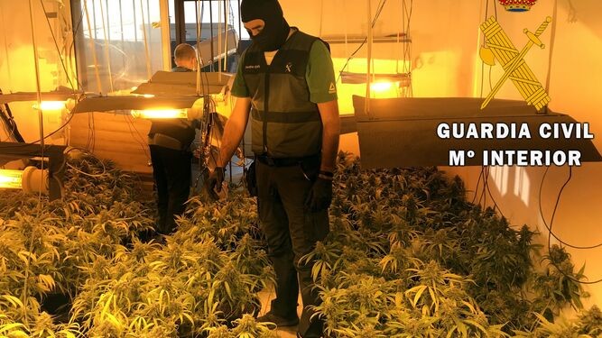 La Guardia Civil detiene a dos personas por delitos contra la salud pública y defraudación al fluido eléctrico e hídrico en Roquetas de Mar