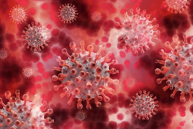 La provincia acelera el ritmo de contagios y hospitalizados por COVID-19 en 24 horas