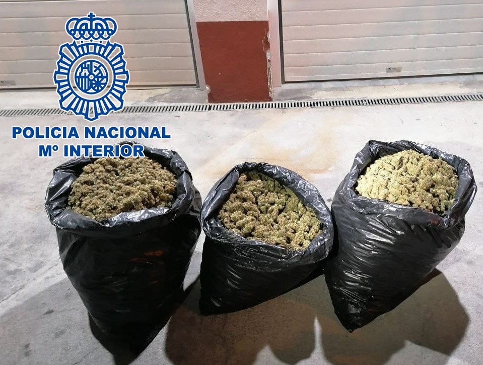 La Policía Nacional ha realizado 83 registros y detenido a 120 personas relacionados con el cultivo indoor de marihuana en Almería y El Ejido