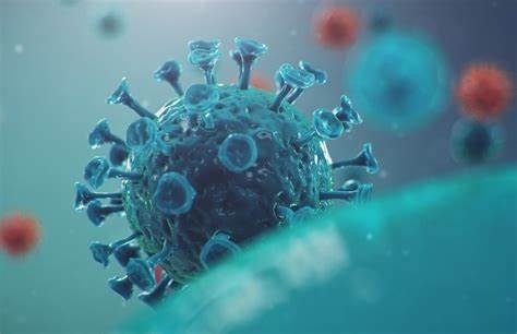 Siete fallecidos y 16 hospitalizaciones deja el COVID-19 en la provincia en estas últimas 24 horas