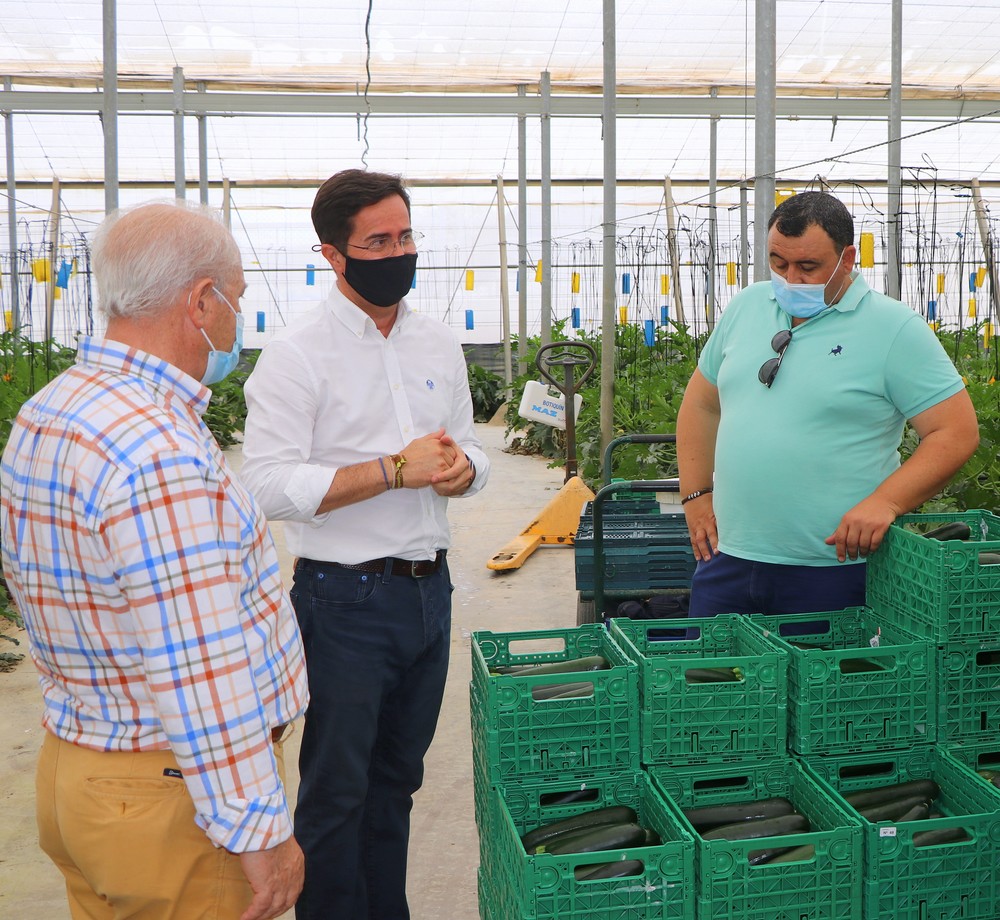 El Ayuntamiento de El Ejido respalda al sector hortofrutícola en Fruit Attraction