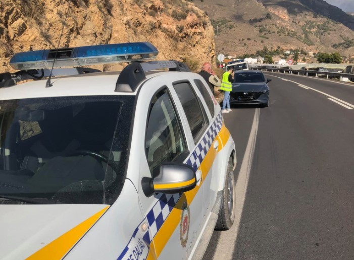 Colisión entre un coche y una cabra montesa en Dalías