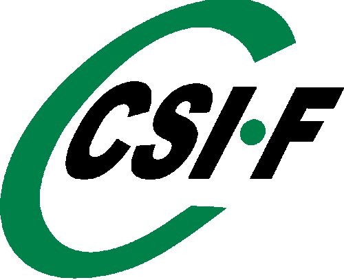 CSIF obtiene la totalidad de los votos en las elecciones del personal laboral del Ayuntamiento de El Ejido