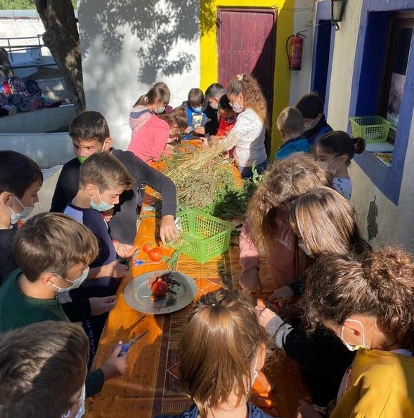 Veinticinco jóvenes lectores de Vícar harán la ruta literaria por el litoral de Adra
