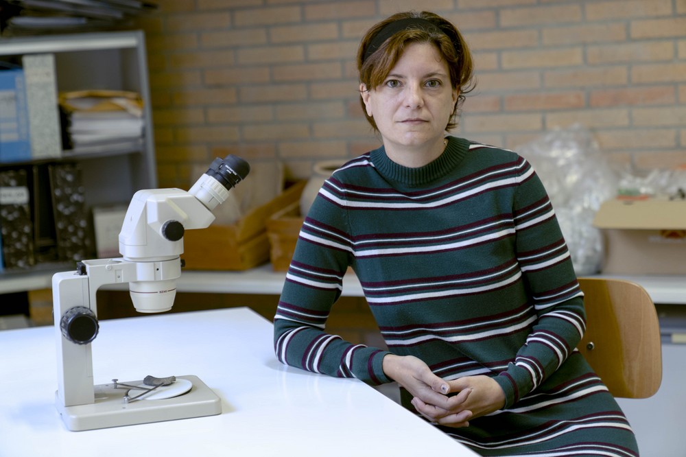 El Consejo Social de la UAL reconoce la investigación y puesta en valor del yacimiento arqueológico de Ciavieja