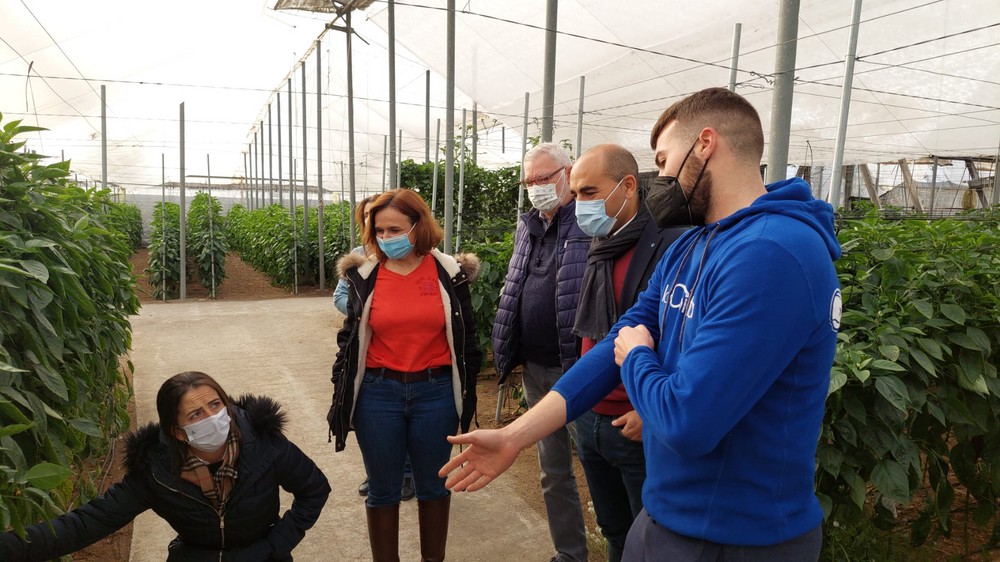 Agricultura convoca ayudas por 80 millones de euros para la incorporación de los jóvenes al sector agrario