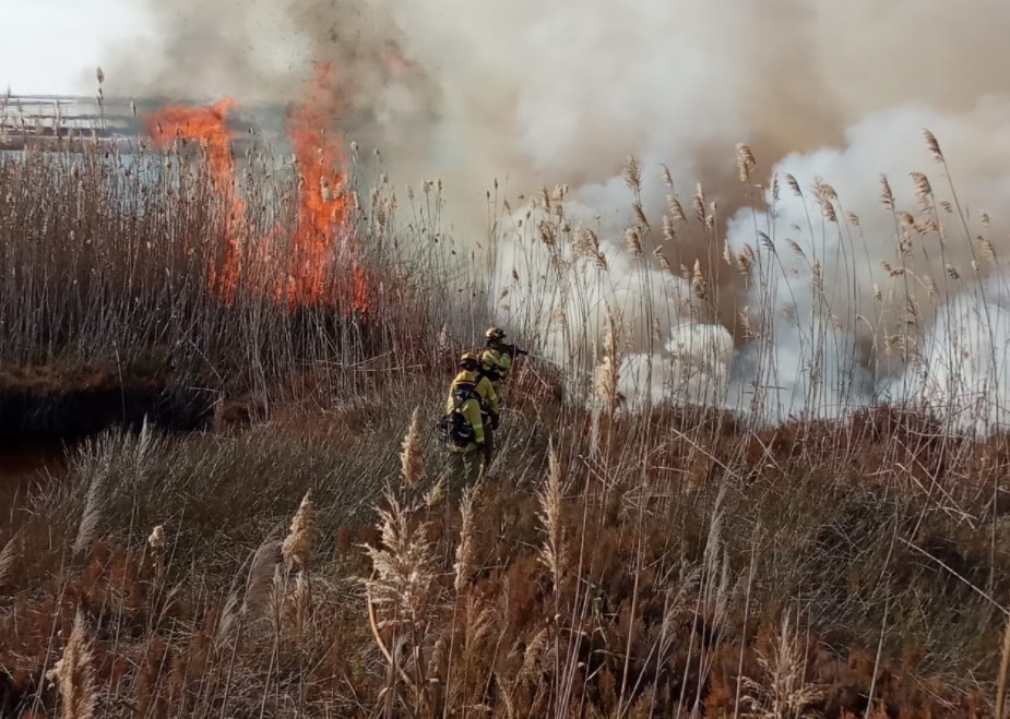 Estabilizado el incendio de Punta Entinas