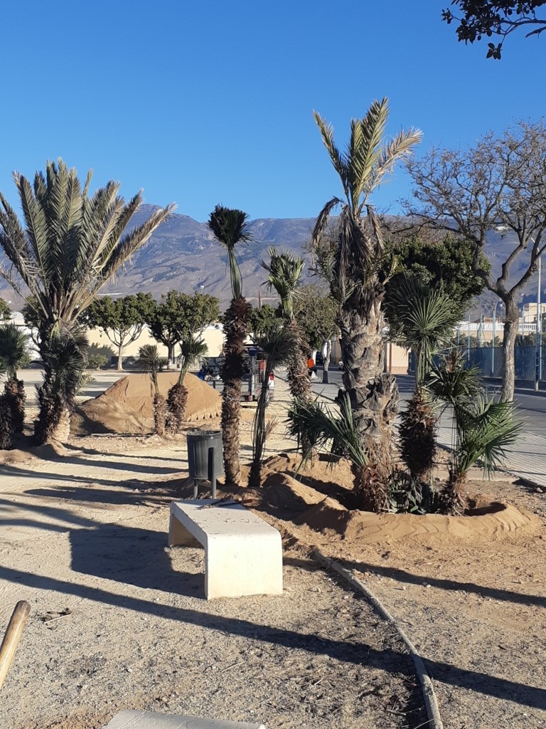 El Ejido mejora y embellece su entorno y sus zonas verdes con más de 1.200 plantas del Plan SAVIA de Diputación