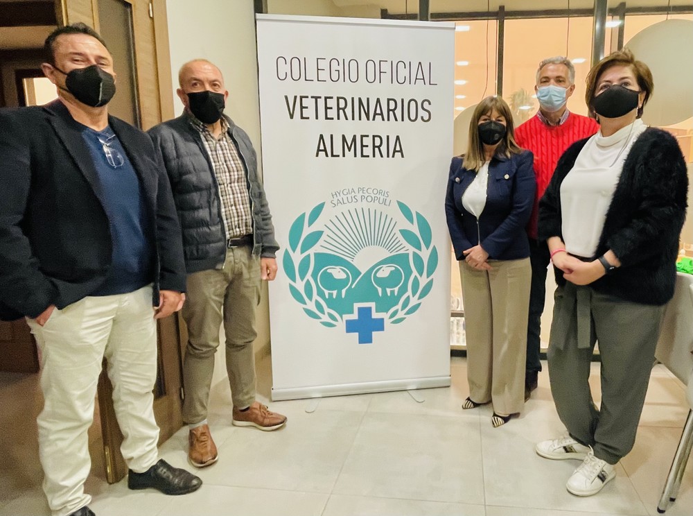 El Ayuntamiento de El Ejido se reúne con el Colegio de Veterinarios para establecer líneas de colaboración en la regulación y protección de las colonias felinas