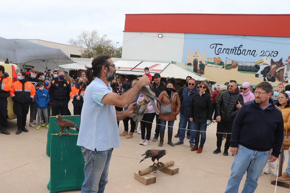 Más de 4.000 personas han disfrutado este fin de semana de la tradición y costumbres populares en el marco de la VIII edición de la Feria del Ganado