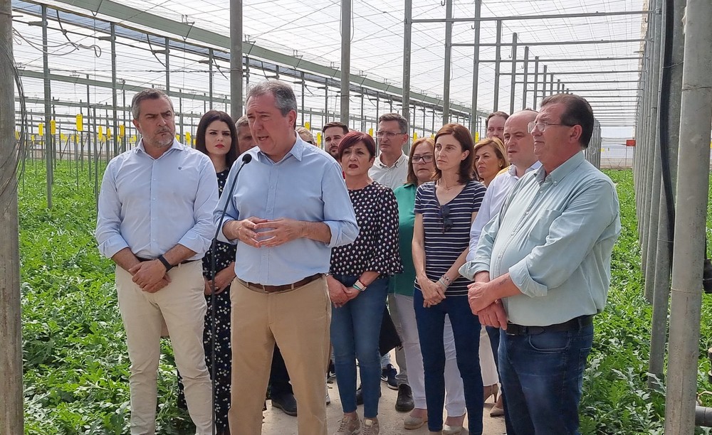 Juan Espadas insta en El Ejido a apostar por las políticas socialistas “valientes” a favor del campo andaluz