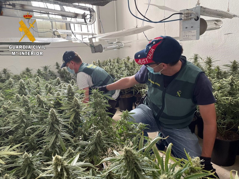 La Guardia Civil interviene un cultivo de marihuana en Roquetas de Mar