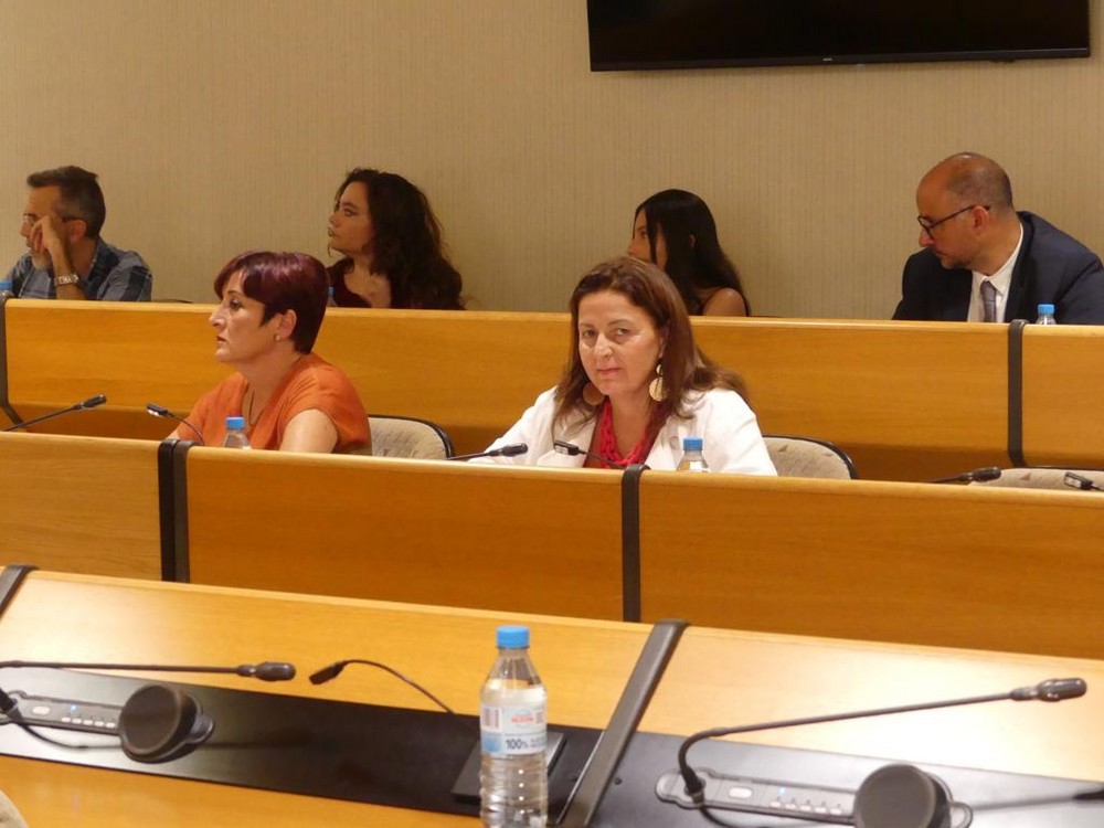 Cs El Ejido solicita más seguridad y charlas educativas contra el acoso escolar en colegios e institutos