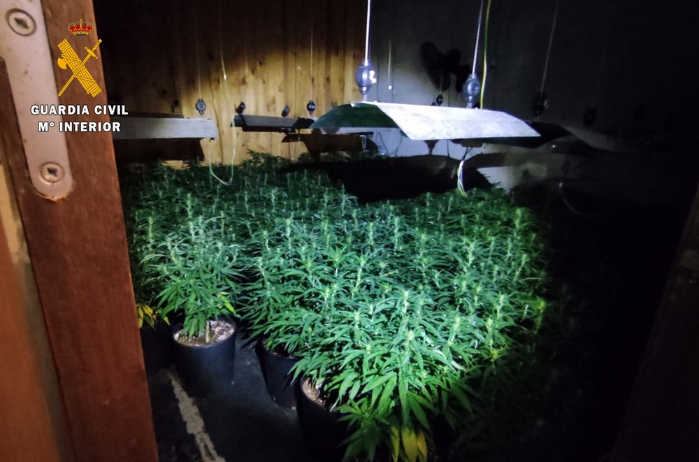 Un incendio revela un cultivo de marihuana oculto en Roquetas de Mar