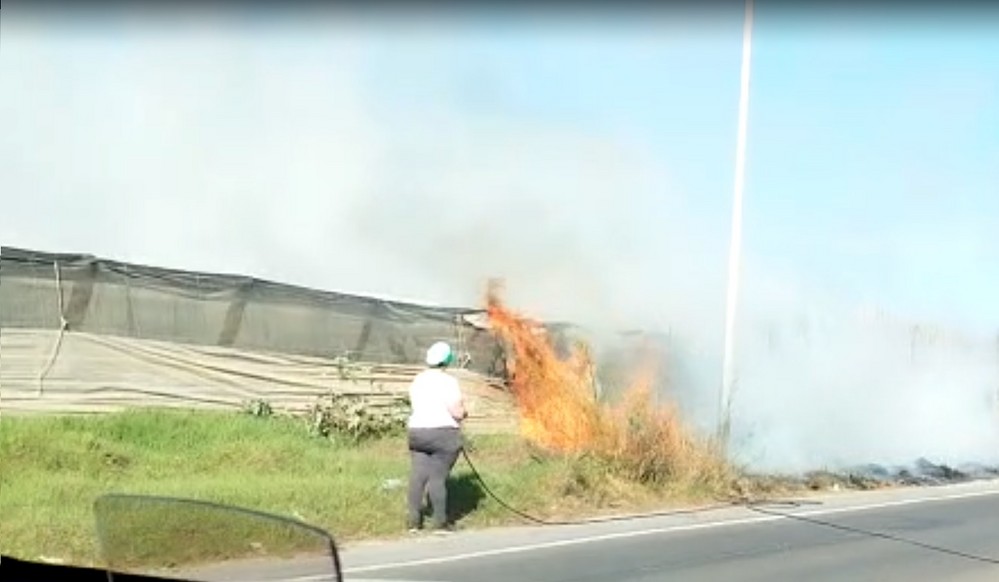 Tres incendios simultáneos en la zona de La Aldeílla