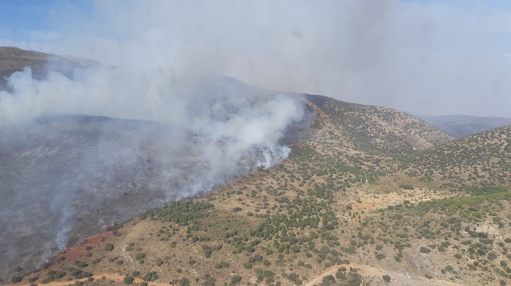 El INFOCA envía 50 efectivos al incendio del Cortijo de la Cruz