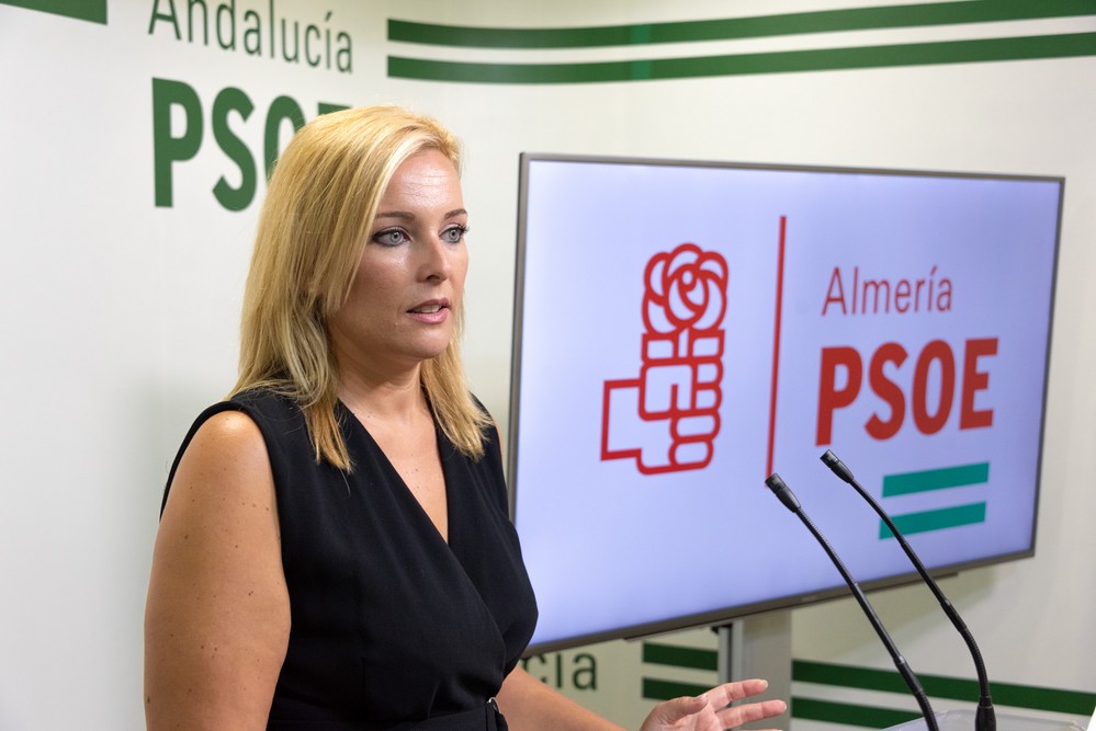 El PSOE lamenta la falta de medidas para prevenir inundaciones cuando se cumplen 49 años de la riada de Adra