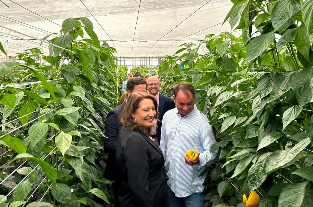 La Consejería impulsa DemoFarm para reducir la brecha digital y la huella hídrica del campo andaluz