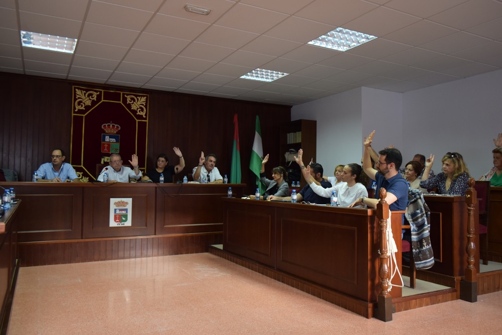 El Pleno de Vícar debate dos mociones institucionales sobre protección a la Infancia y contra la violencia de género