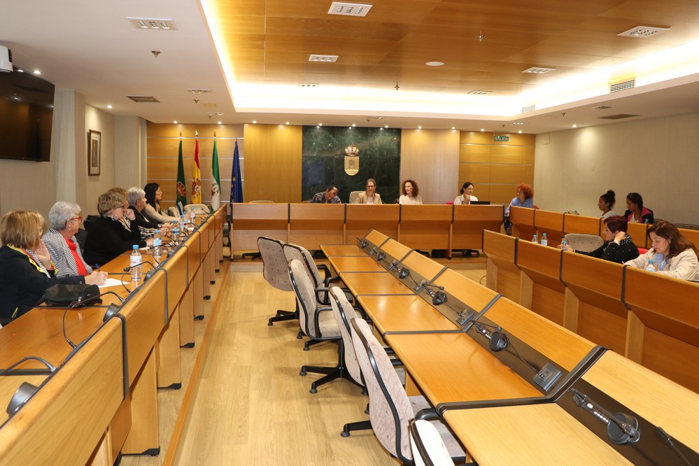 El Consejo de la Mujer analiza la programación del 25N con el objetivo de seguir trabajando en estrategias de sensibilización para la eliminación de la violencia de género