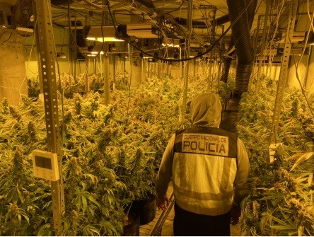 La Policía Nacional detiene  a seis personas en una nueva operación contra el cultivo indoor de marihuana