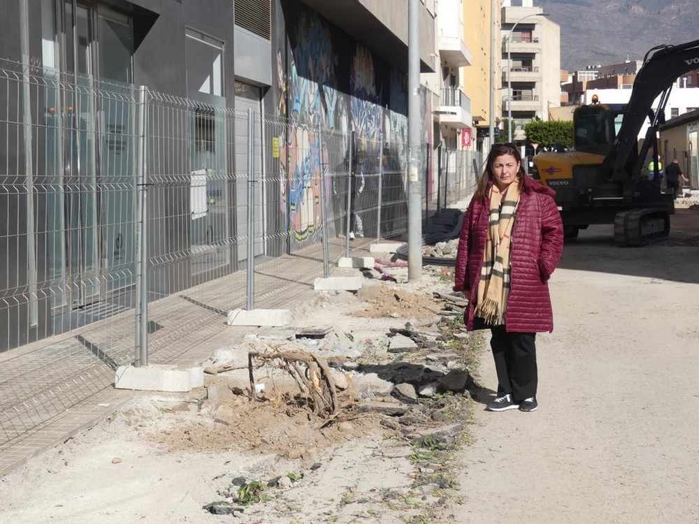  Gómez (CS): «Es contradictorio hablar de Ciudades Saludables y medio ambiente , y arrancar los árboles de cuajo»