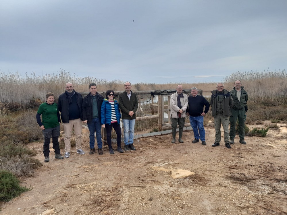 La Junta de Andalucía refuerza la población de Cerceta pardilla en Punta Entinas-Sabinar