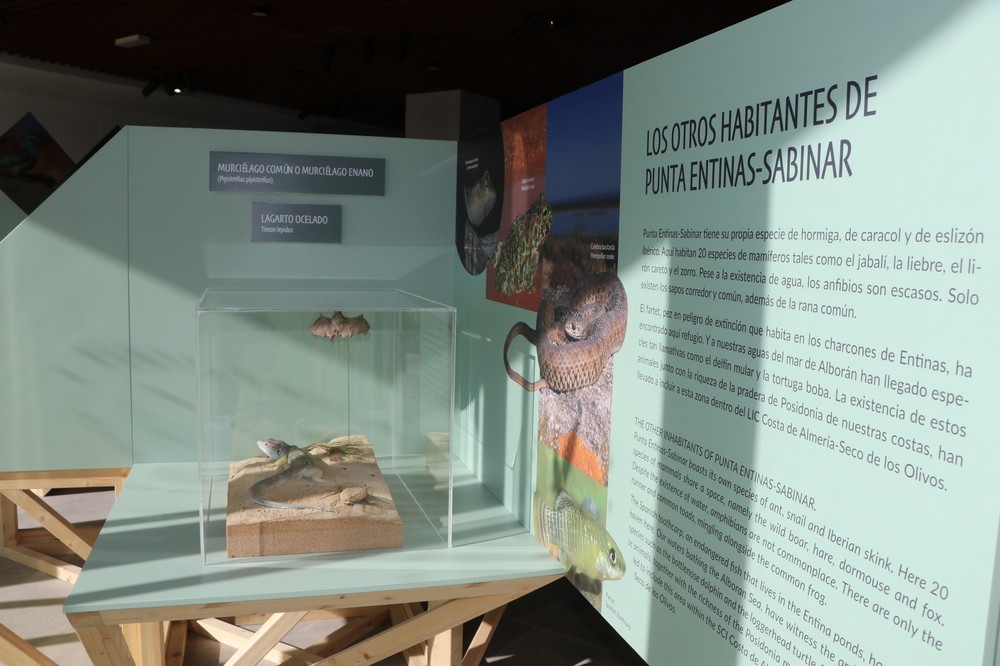 El Centro de Interpretación de Punta Entinas Sabinar abre al público como un recurso didáctico, divulgativo y turístico