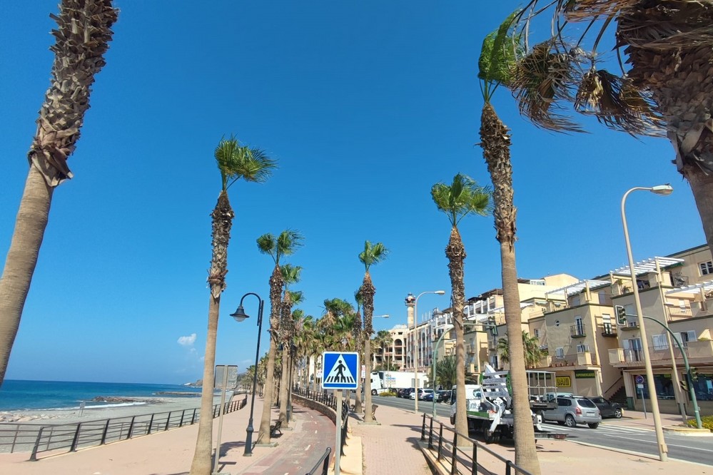 El Ayuntamiento de Adra pone a punto los paseos marítimos con la poda de palmeras