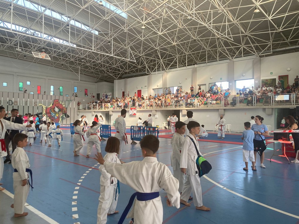 Exitoso Campeonato de Almería de Kárate con 300 participantes en el Pabellón Municipal de Dalías