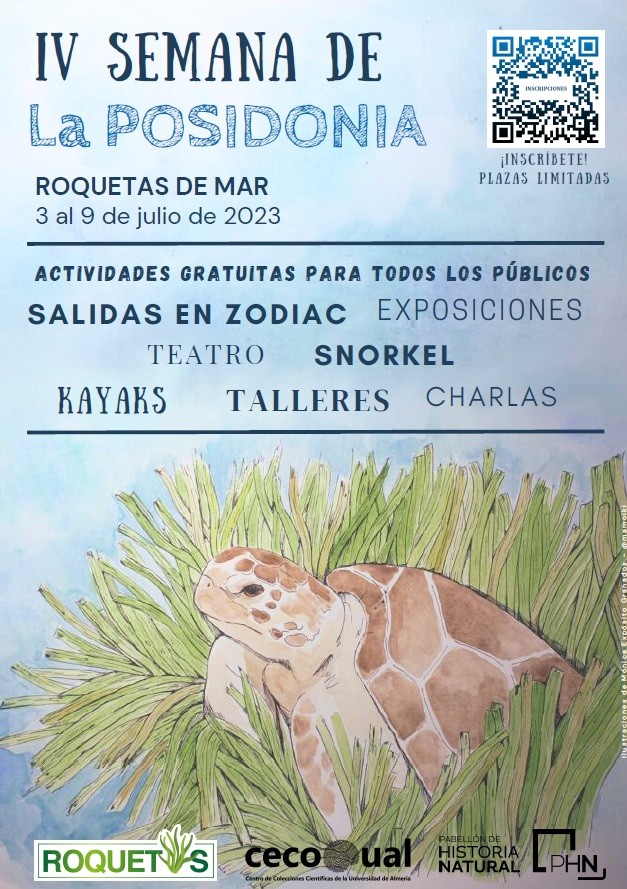 Roquetas de Mar celebra la IV Semana de la Posidonia con 35 actividades desde el 3 al 9 de julio
