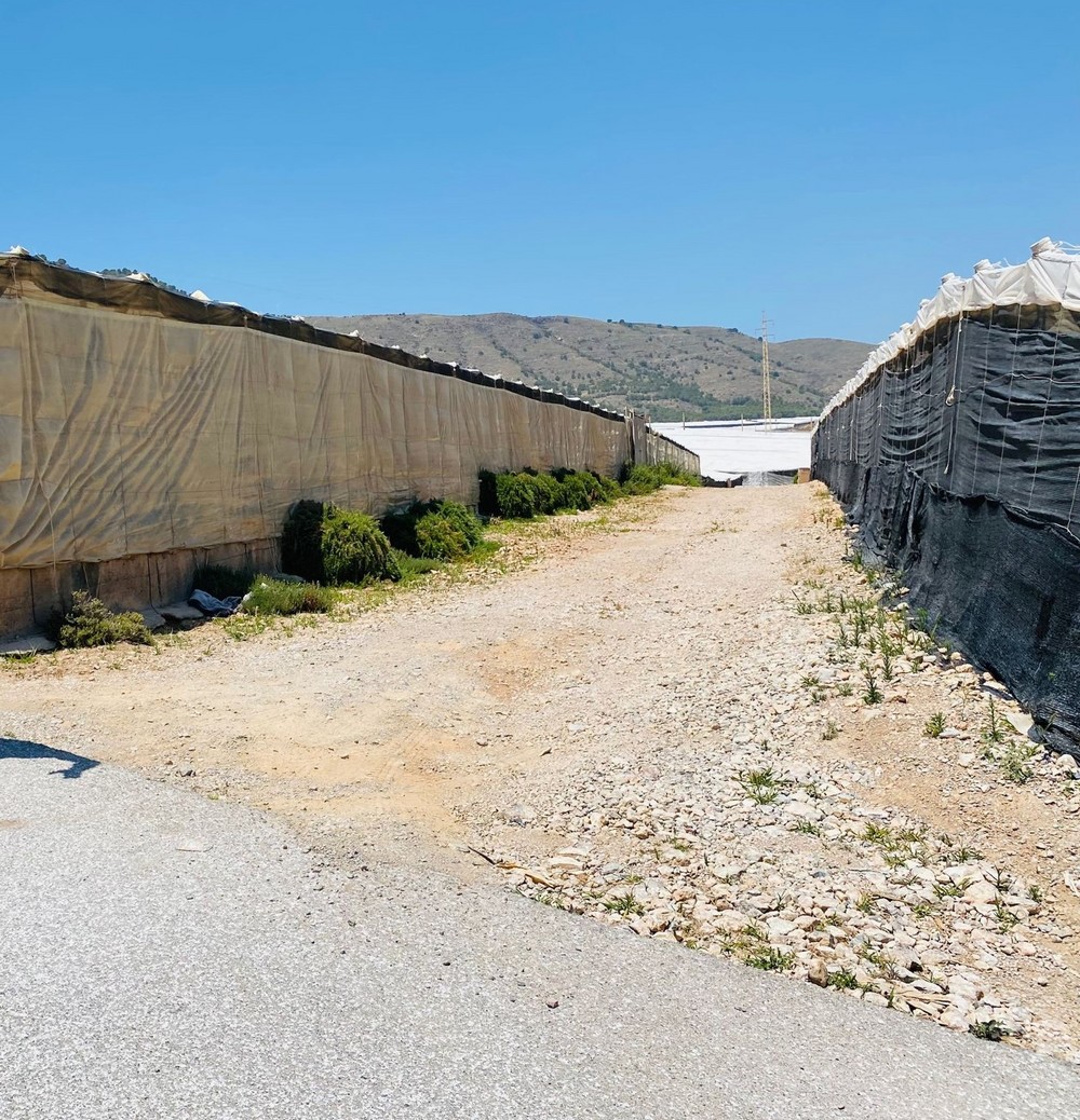 Dalías recibirá 125.000€ para el arreglo de caminos rurales