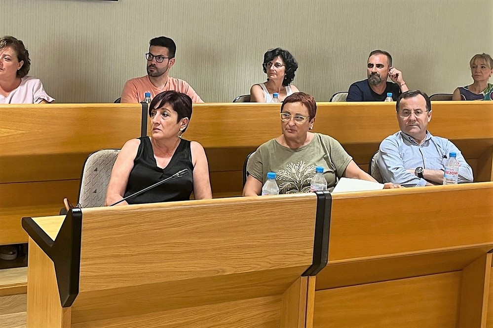El PSOE de El Ejido propone al Ayuntamiento una campaña de divulgación de las pulseras identificativas