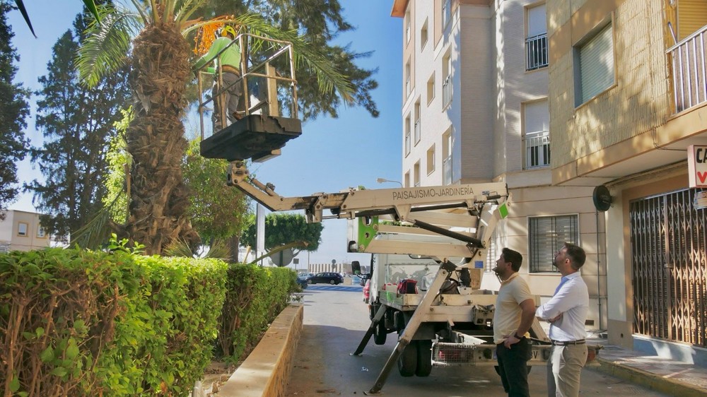 El Ayuntamiento de Adra retoma las labores de poda en el municipio tras la temporada de verano