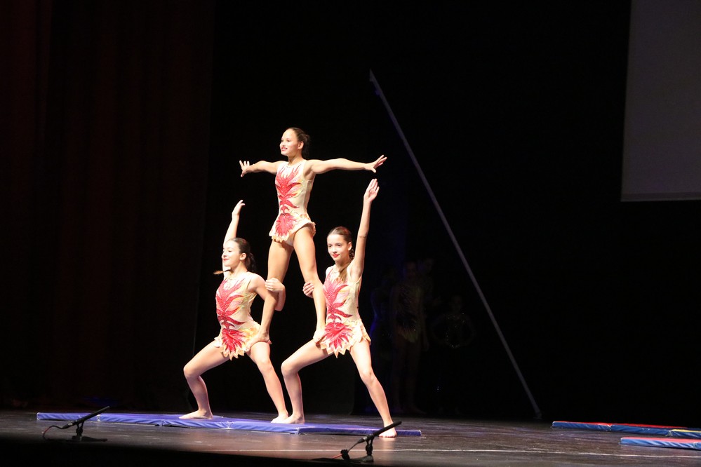 Un espectáculo de música, magia, acrobacia y baile en la VIII Gala benéfica de la Asociación Murgi