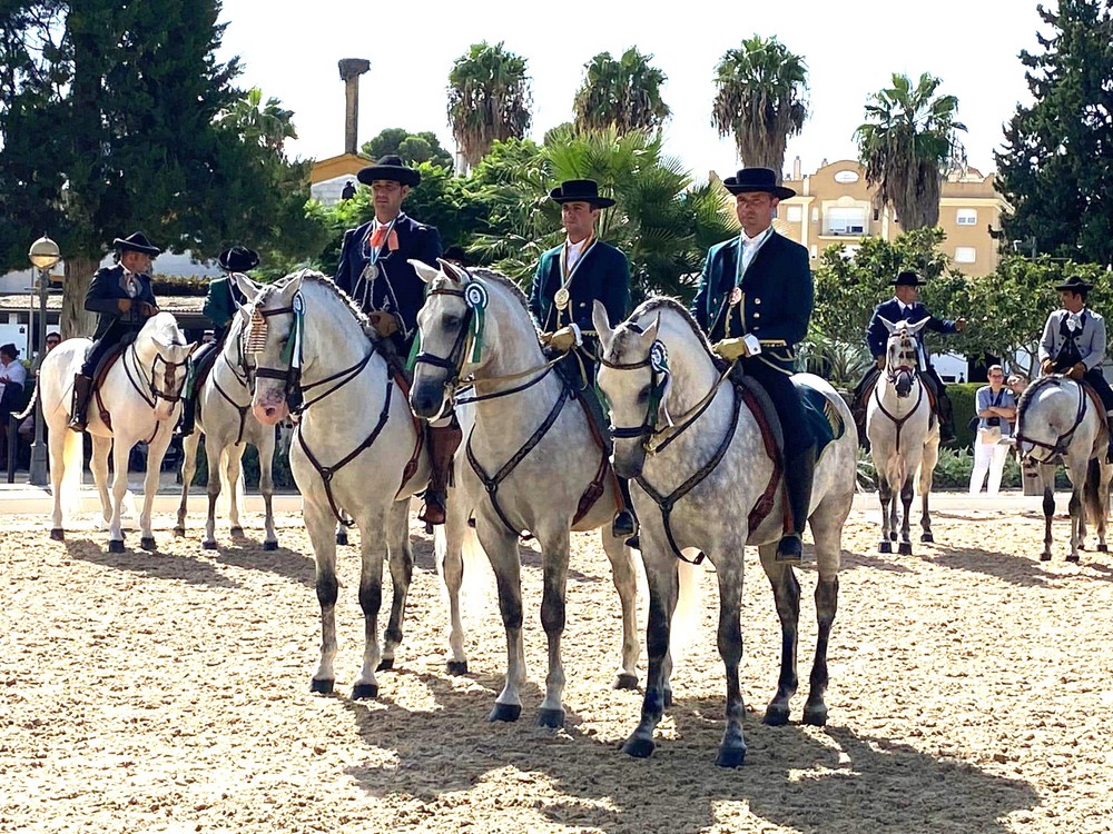 El aldeillense Juan José Rodríguez, subcampeón de Andalucía de Alta Escuela Española