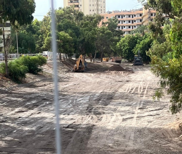 El PSOE denuncia la tala de árboles en la Rambla de San Antonio de Aguadulce