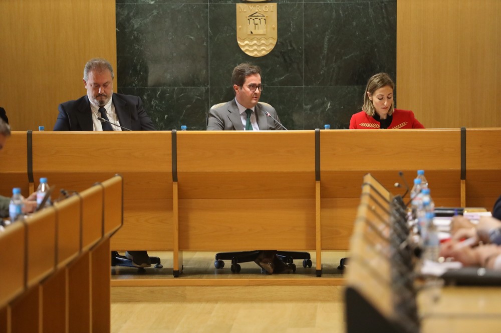 El Pleno aprueba solicitar al Ministerio de Hacienda la condonación de su deuda e intereses