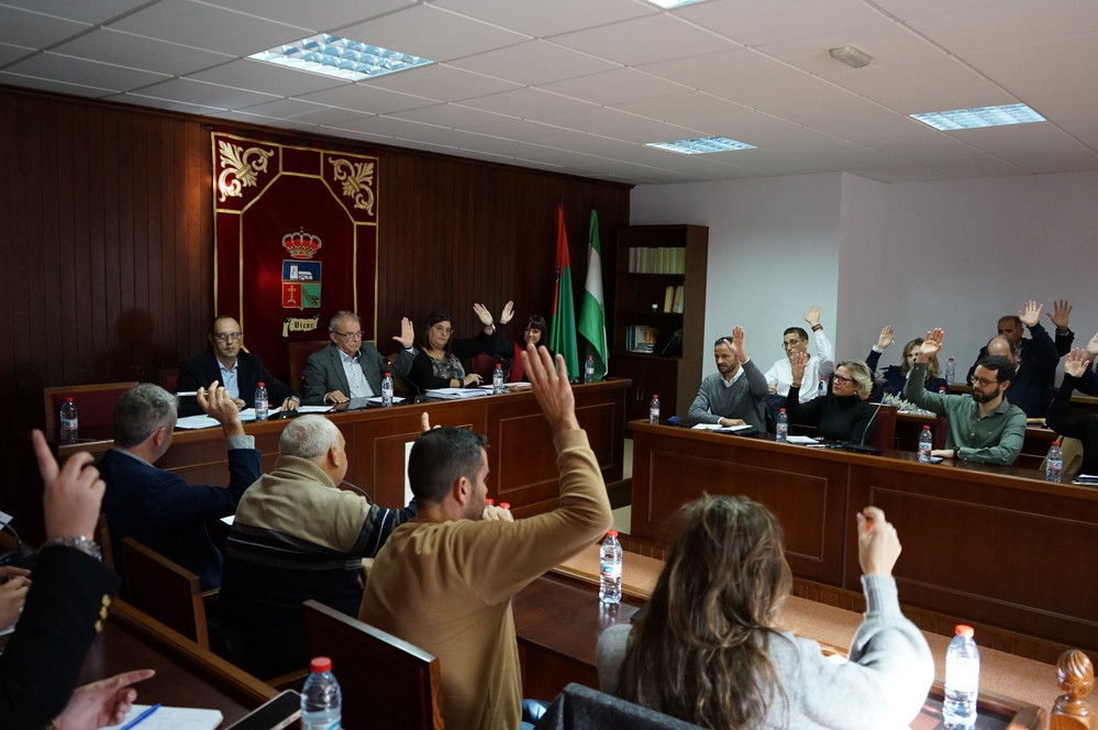 El Pleno del Ayuntamiento de Vícar aprueba una moción institucional contra la violencia de género