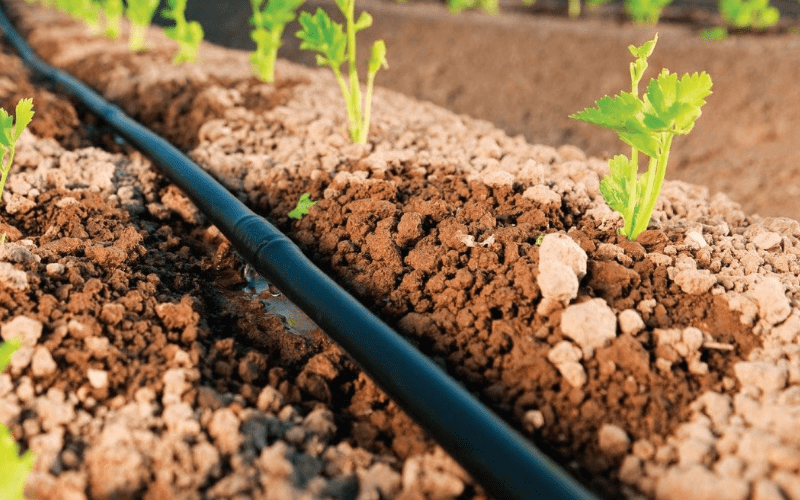 Soluciones a la falta de agua para el Poniente almeriense