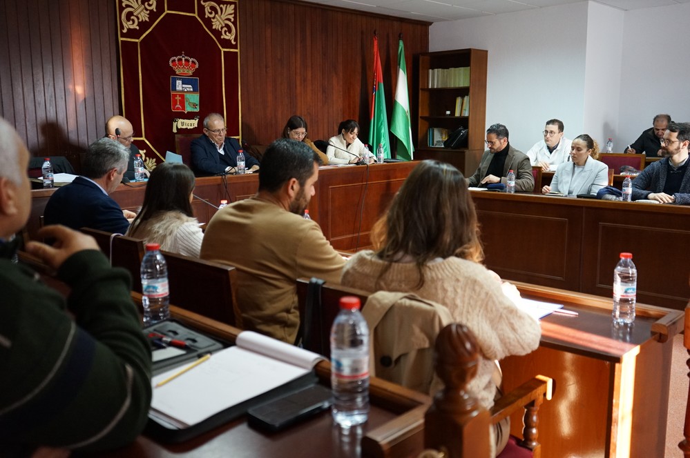 El pleno de Vícar aprueba una modificación de la ordenanza del impuesto de vehículos