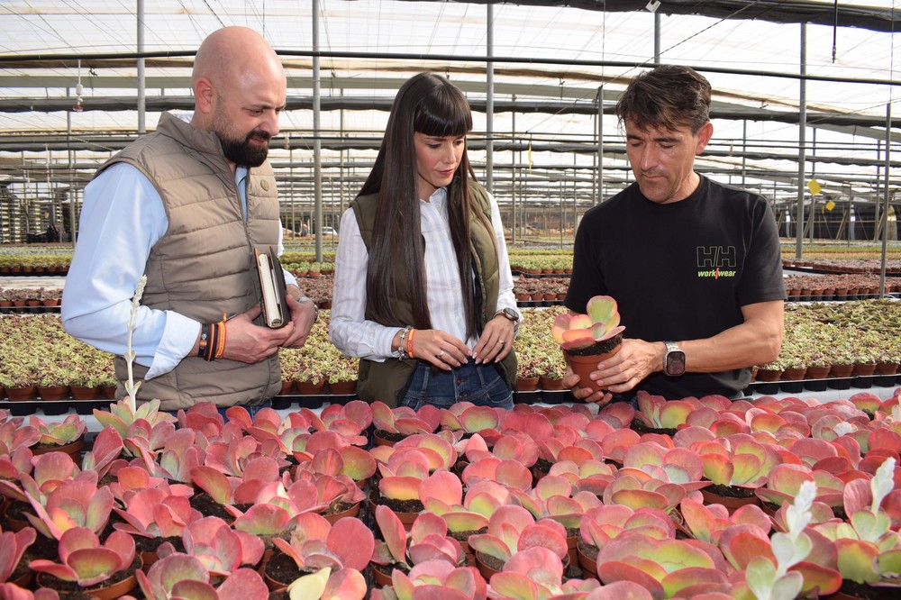 VOX El Ejido solicita que el Área de Agricultura y Medio Ambiente incluya una línea de trabajo de planta ornamental