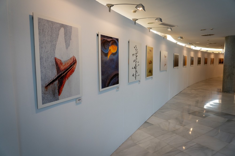 El Teatro Auditorio de Roquetas deslumbra con la exposición fotográfica "NATURA" del grupo Clave Visual