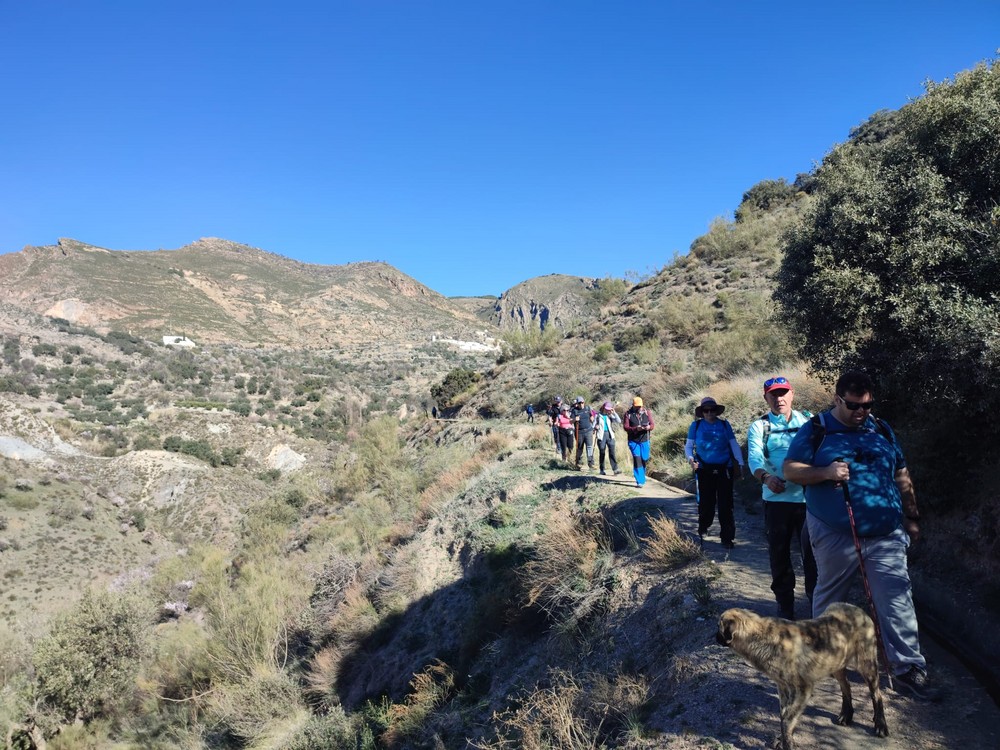 Medio centenar de senderistas del programa ‘Deporte y Naturaleza’ recorrieron la Vereda de Escalona en Cádiar