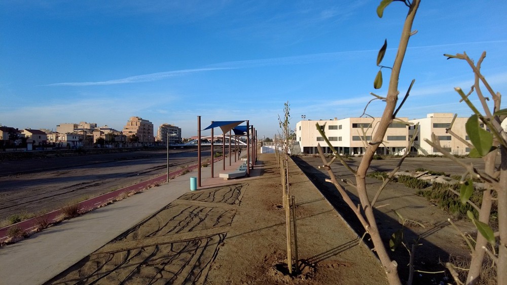 El Ayuntamiento continúa con su plan de reposición de arbolado con la plantación de un total de 270 unidades
