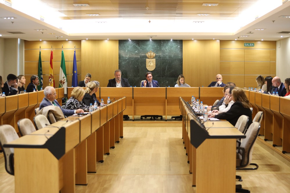 El equipo de Gobierno en el Ayuntamiento de El Ejido llevará al próximo Pleno una moción con la que pide garantizar la atención integral de los enfermos de ELA