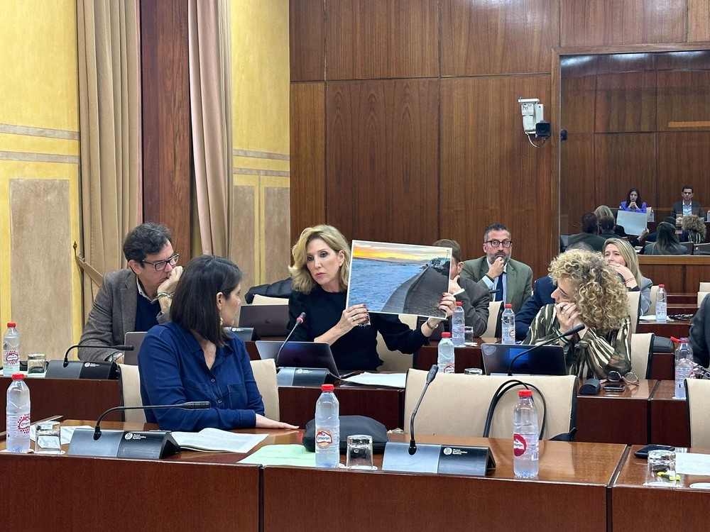 El PP exige a Teresa Ribera que visite la playa de Balerma para comprobar ‘in situ’ la urgencia y necesidad de actuar ya
