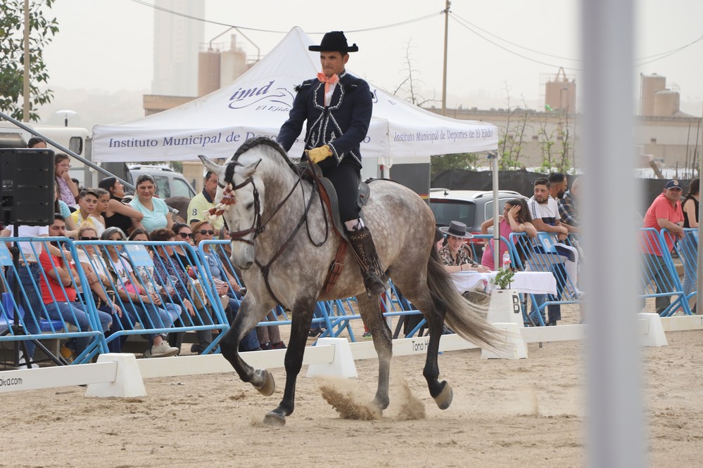 El II Concurso Territorial de Doma Vaquera y Alta Escuela, protagonista de la II Feria del Caballo y las Tradiciones Culturales de Santa María del Águila