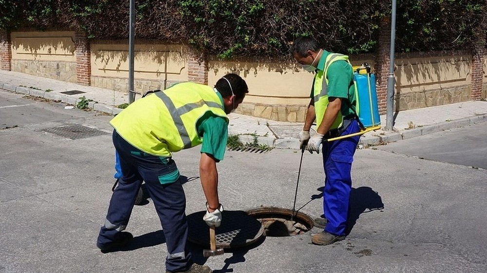 El Ayuntamiento de Vícar intensifica la campaña de desinsectación con actuaciones por todo el municipio