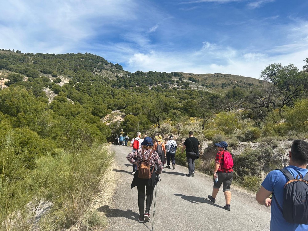 La XVIII Olimpiada de Mayores cubre su última cita de la temporada con una ruta senderista por Fondón, Benecid y Laujar de Andaráx